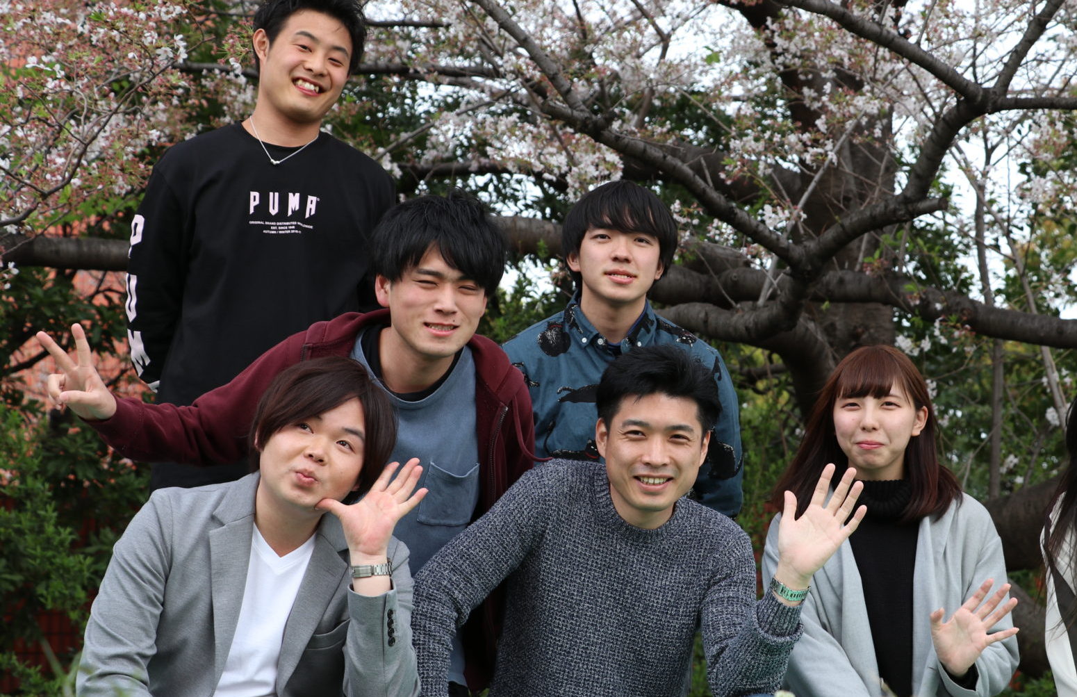 ドックスについて